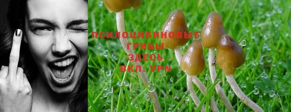 MDMA Верея